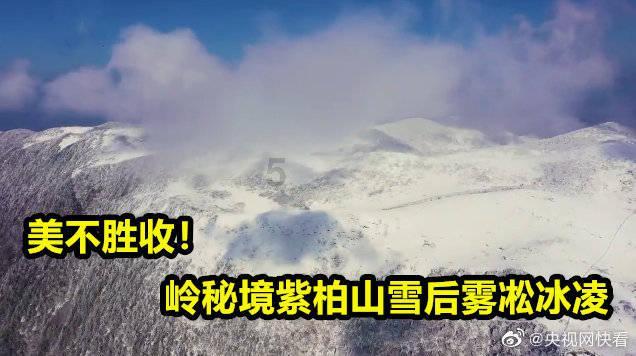 冬季绿城果飘香 “甜蜜经济”显活力
